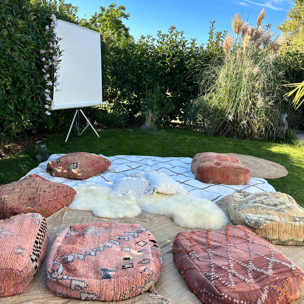 soiree cinema suisse en plein air